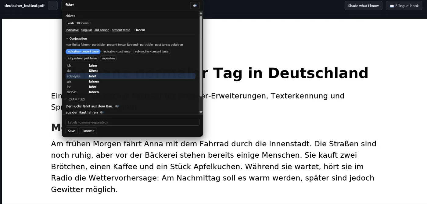 NoaLingua PDF viewer preserving the original page while a clicked word opens grammar details.